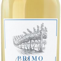 Falanghina IGP "Primo Filare" Featured Image