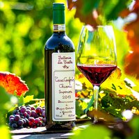 Casa Conforto Chianti Superiore DOCG 2019 Featured Image