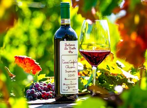 Casa Conforto Chianti Superiore DOCG 2019 Featured Image