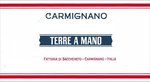 Terre a Mano- Fattoria di Bacchereto di Bencini Tesi M.Rossella Logo