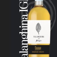 Falanghina Featured Image