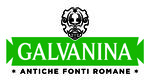 La Galvanina S P A Logo