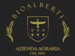 logo-alberti.jpg