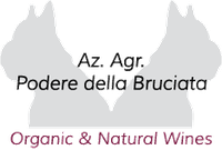 logo-bruciata-Convertito2.gif