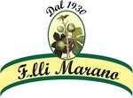 logo Fratelli Marano.jpg
