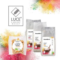 LUCE® - EXCLUSIVE PRODUCT LINE Featured Image