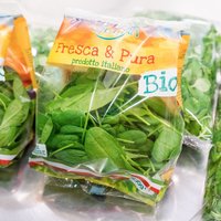 BIO BABY SPINACH Featured Image