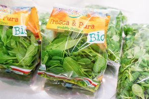 BIO BABY SPINACH Featured Image