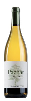 Pachar  IGT Bianco Toscana Featured Image