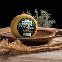 ORGANIC - PECORINO of AMATRICE BIOLOGICO Featured Image