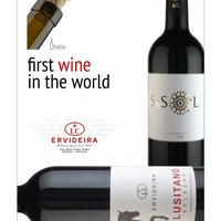 Portuguese Wine Selection Featured Image