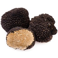 FRESH SUMMER TRUFFLE, Tuber aestivum Vittad Featured Image