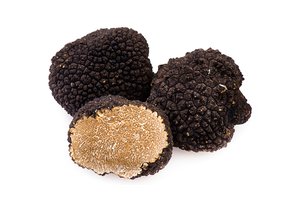 FRESH SUMMER TRUFFLE, Tuber aestivum Vittad Featured Image