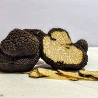 Fresh Summer Truffles Featured Image