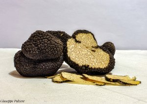 Fresh Summer Truffles Featured Image