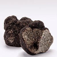 FRESH BLACK TRUFFLE tuber melanosporum vitt. Featured Image