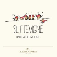 Settevigne Dop Tintilia del Molise Featured Image